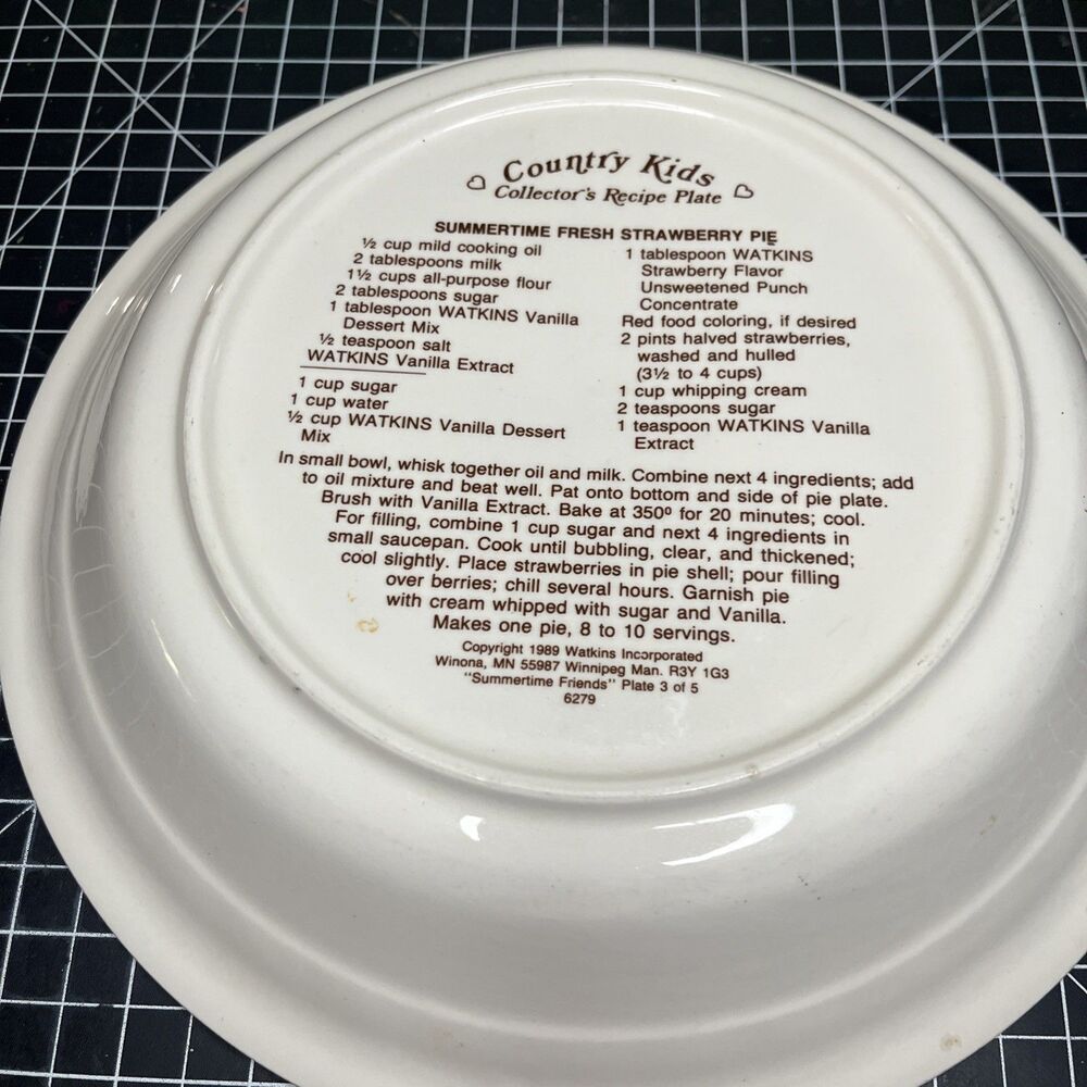 Watkins Country Kids Recipe Pie Plate Strawberry Pie Summertime Friends Made USA